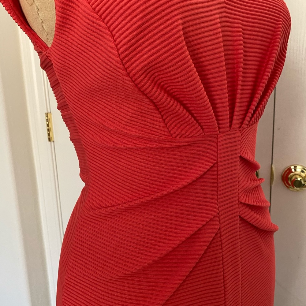 Express Dress - Picture 3 of 7